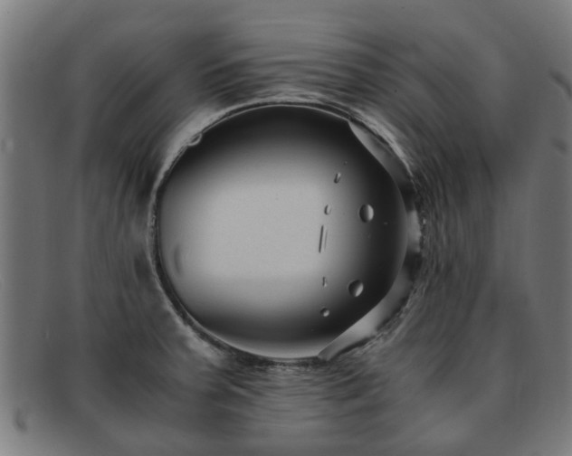 X0000091881379200709121405
