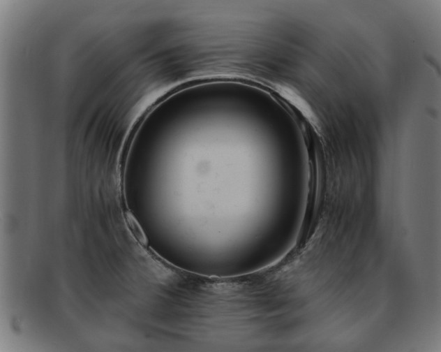 X0000091881380200709121405