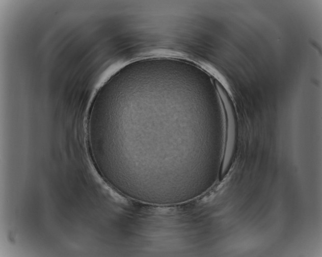 X0000091881381200709121405