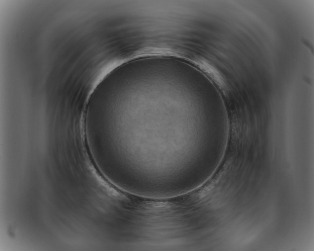 X0000091881382200709121405