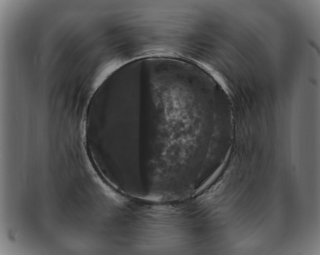 X0000091881383200709121405