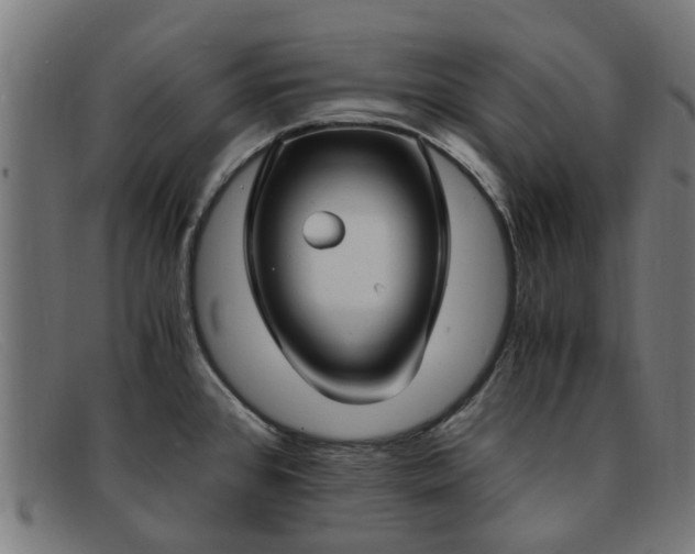 X0000091881384200709121405