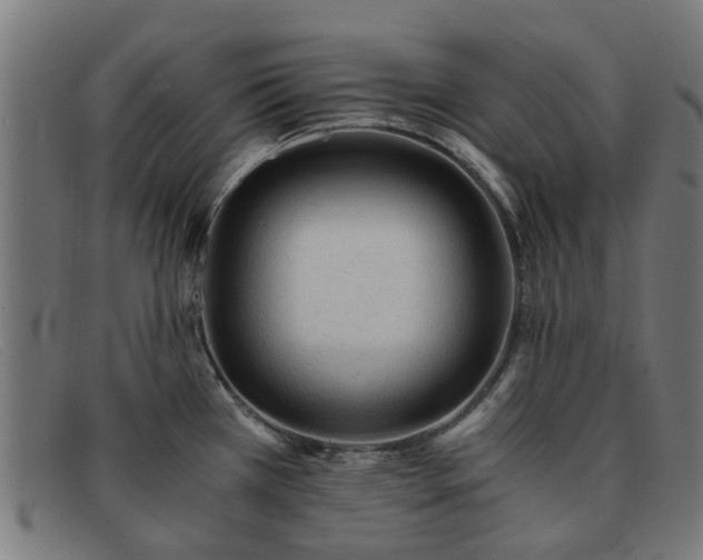 X0000091881385200709121405