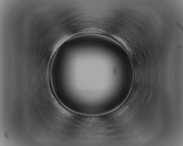 X0000091881387200709121405