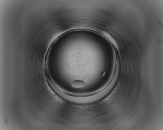 X0000091881388200709121405