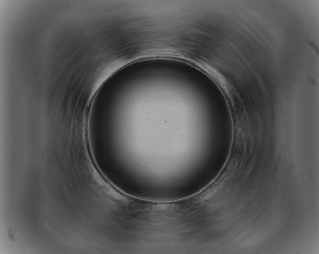 X0000091881390200709121405