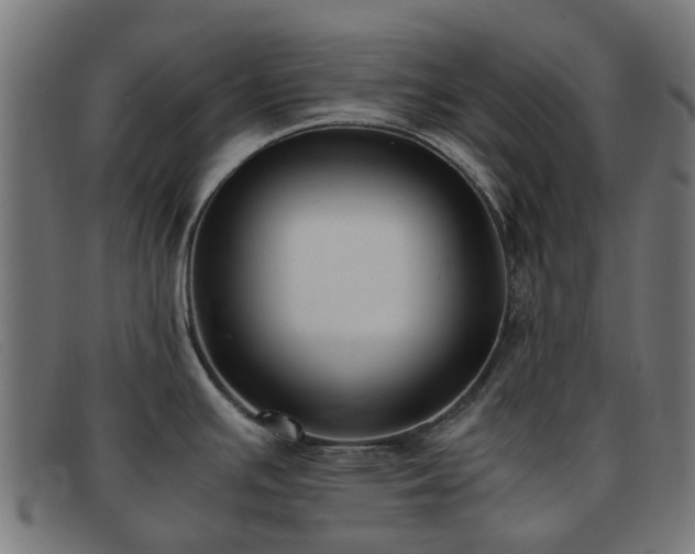 X0000091881391200709121405
