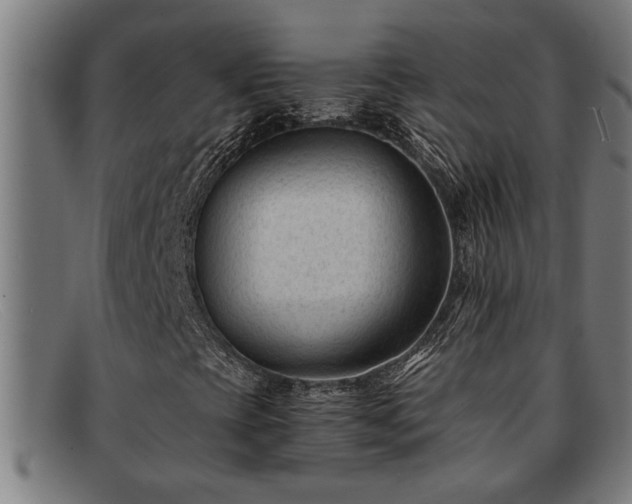 X0000091881393200709121404