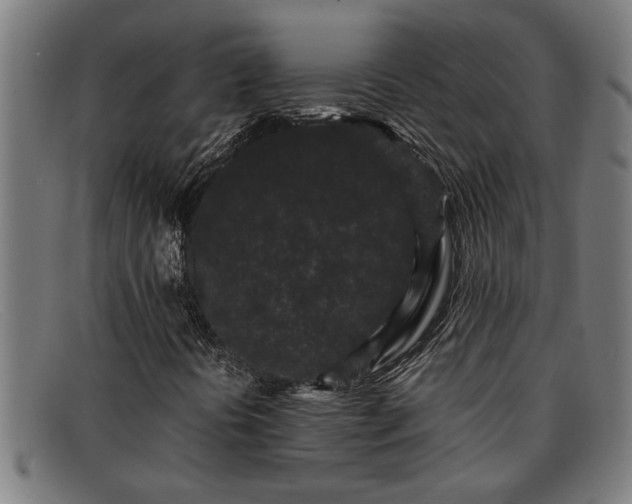 X0000091881394200709121404