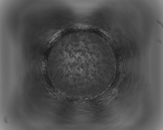 X0000091881397200709121404