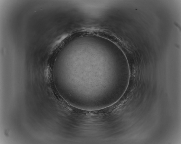 X0000091881398200709121404