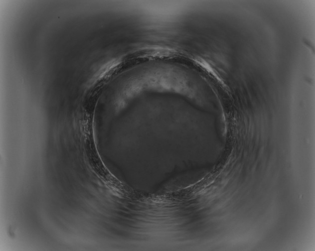 X0000091881399200709121404
