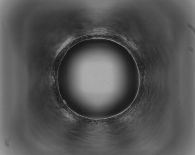 X0000091881400200709121405