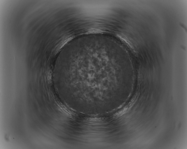 X0000091881401200709121405