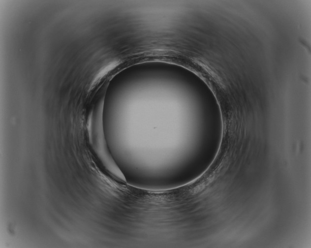 X0000091881402200709121405