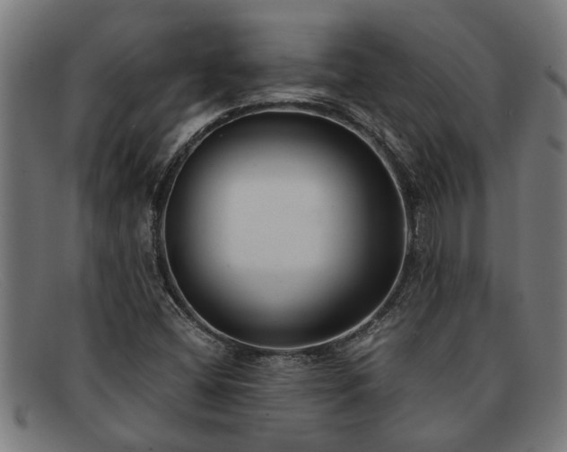 X0000091881404200709121405