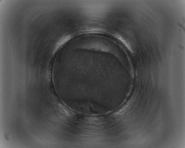 X0000091881405200709121405