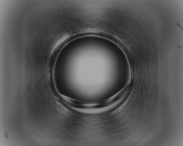 X0000091881406200709121405