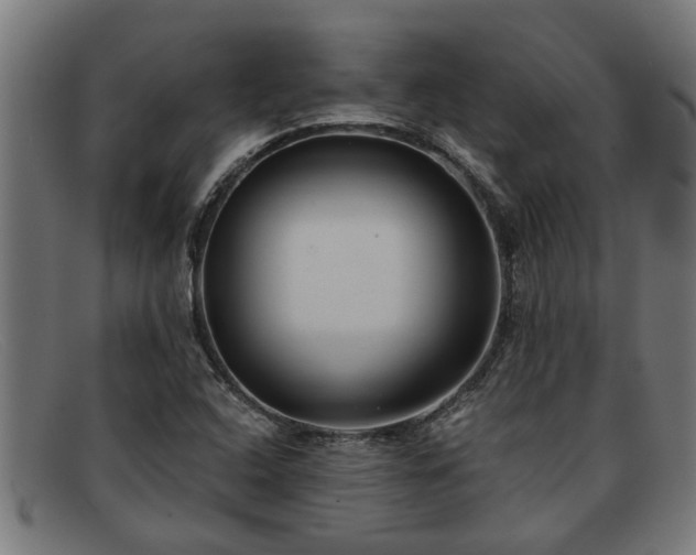 X0000091881408200709121405