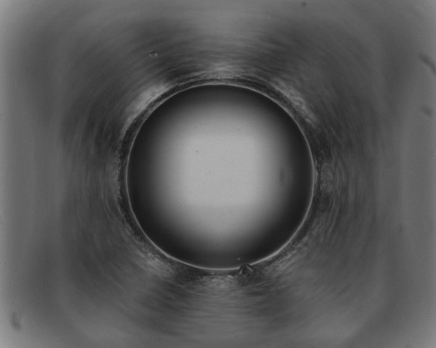 X0000091881410200709121405