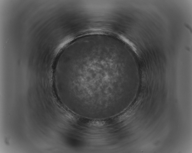 X0000091881411200709121405