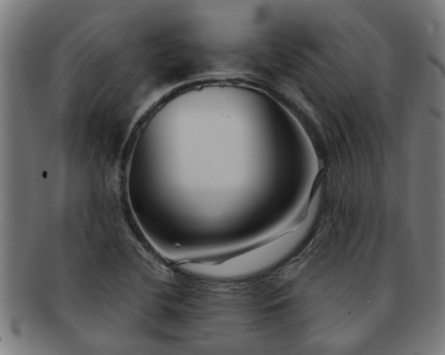X0000091881412200709121405