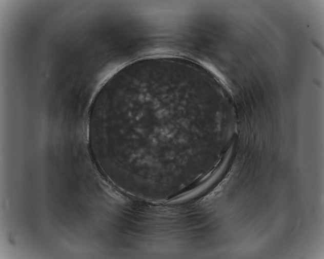 X0000091881413200709121405