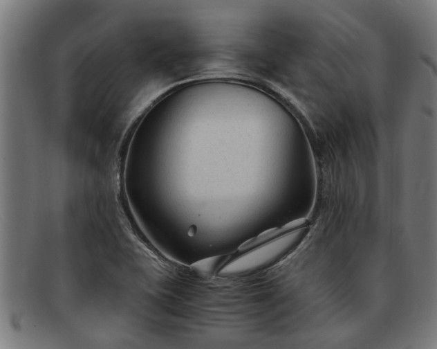 X0000091881415200709121405