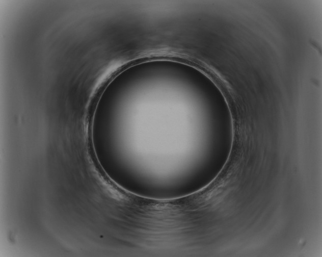 X0000091881416200709121405