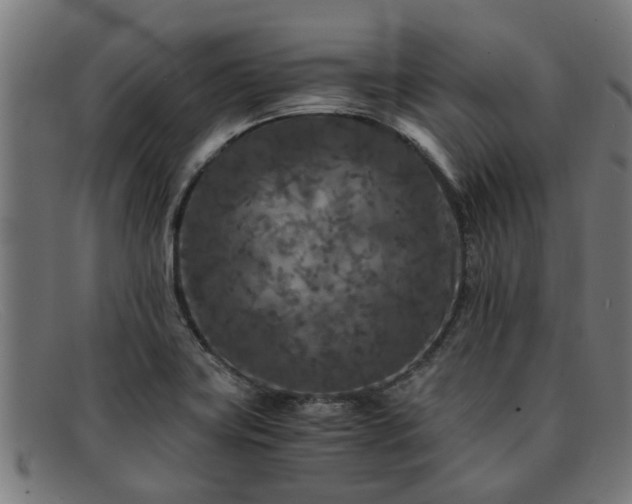 X0000091881419200709121405