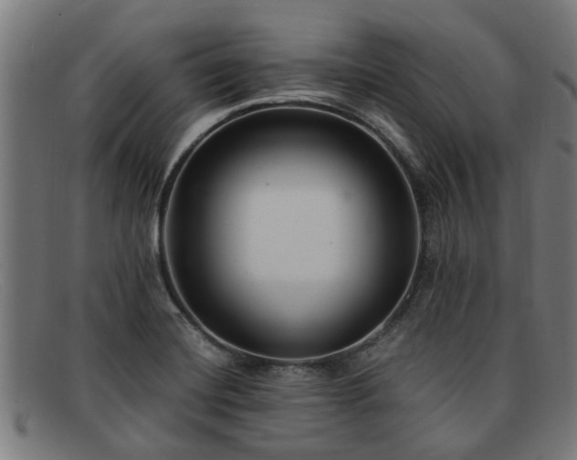 X0000091881420200709121405