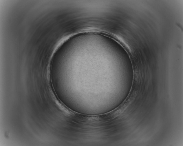 X0000091881421200709121405
