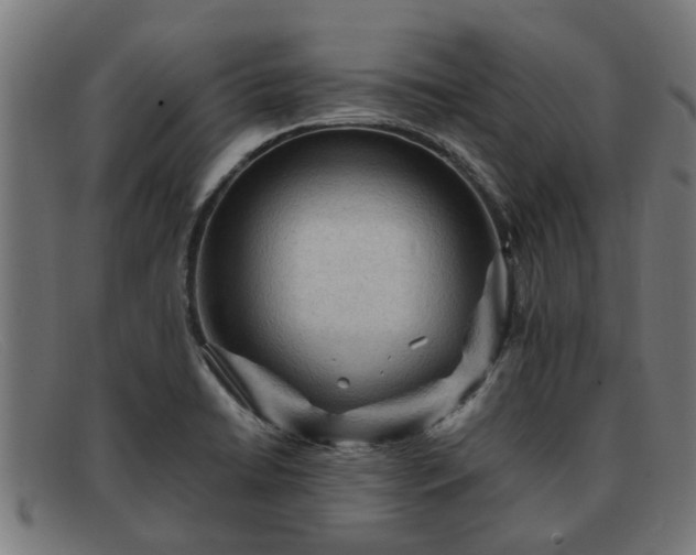 X0000091881422200709121405