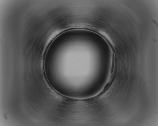 X0000091881424200709121405