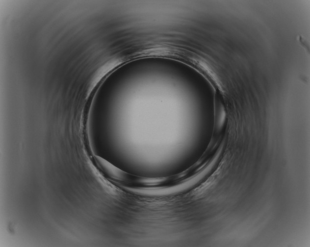 X0000091881426200709121405