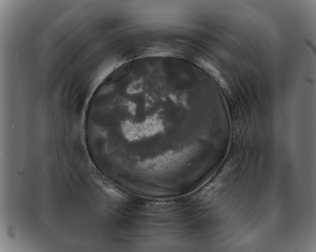 X0000091881427200709121405