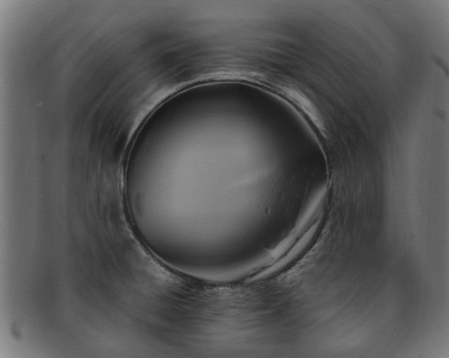 X0000091881428200709121405