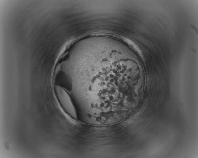 X0000091881429200709121405