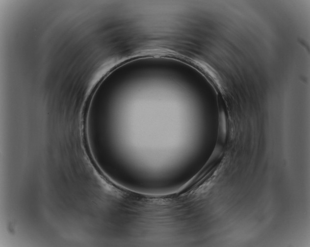 X0000091881430200709121405