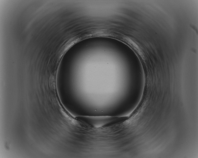 X0000091881433200709121405