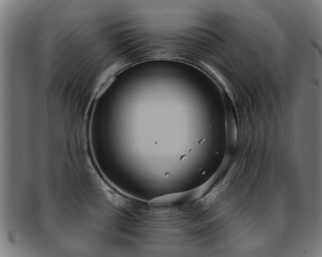 X0000091881434200709121405