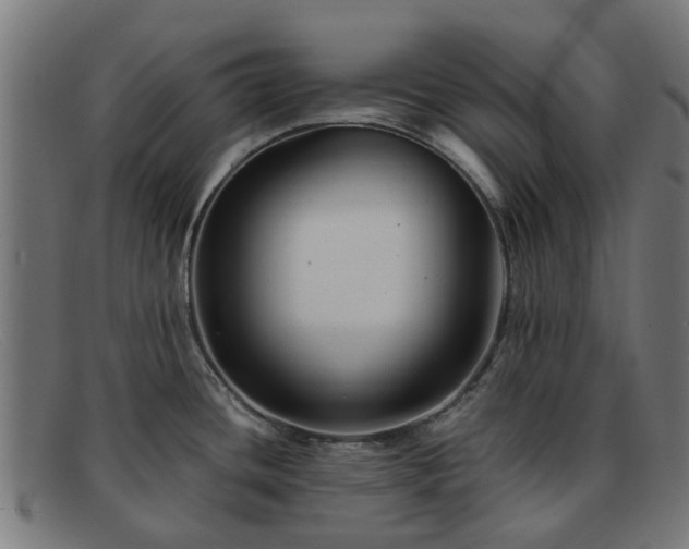 X0000091881436200709121405