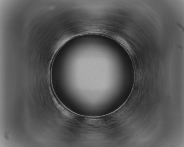 X0000091881439200709121405