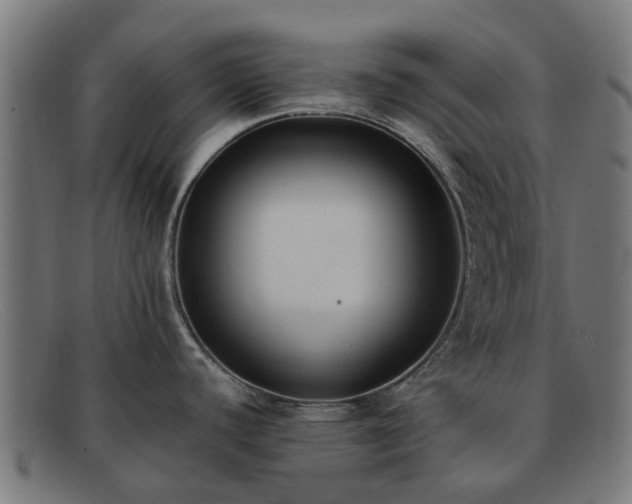 X0000091881440200709121405