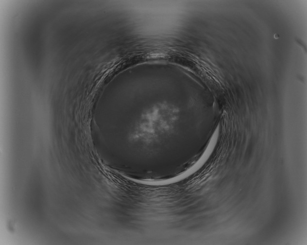 X0000091881441200709121404
