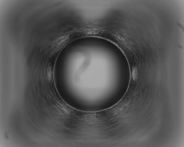 X0000091881444200709121404