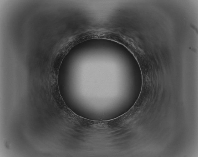 X0000091881447200709121404