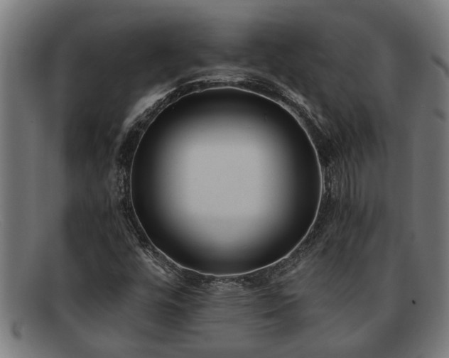X0000091881448200709121404