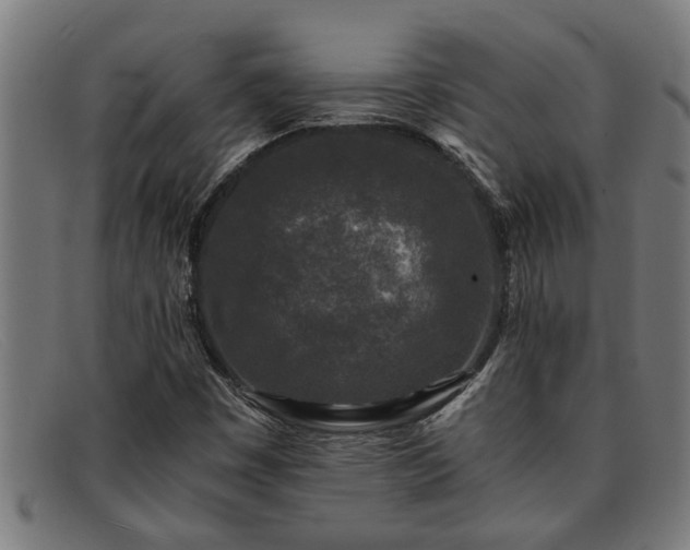 X0000091881449200709121404