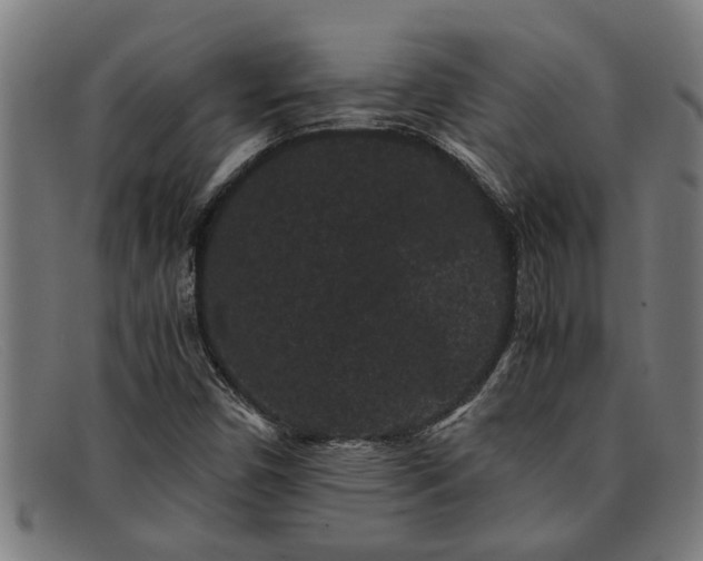 X0000091881450200709121404